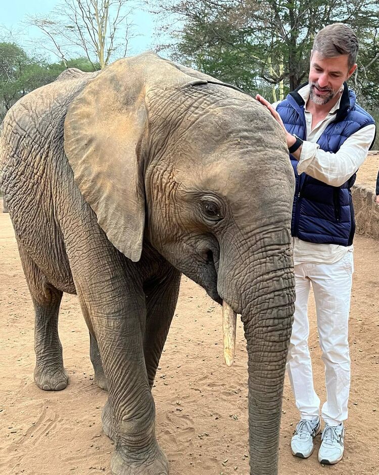 ���������� ���������, ���� ������� ������, 40 ���, ������������ ��� ������, ����� � ���������, c�������� ���������, ���������