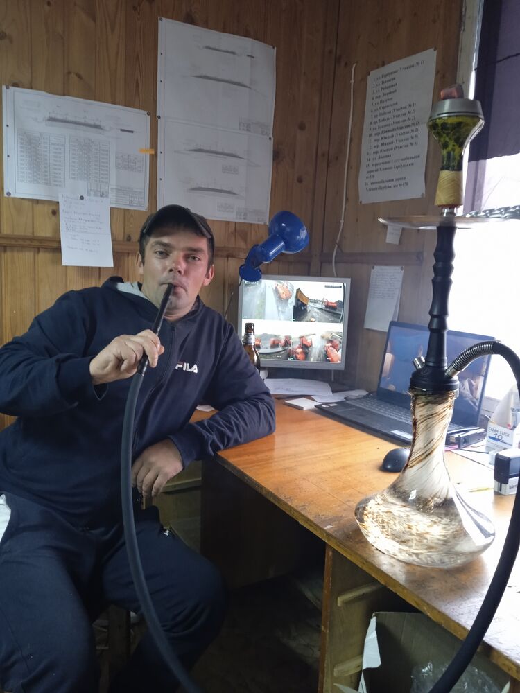 ���� 42425186 ������� �������, 38 ���, ���� ���������� � ���������