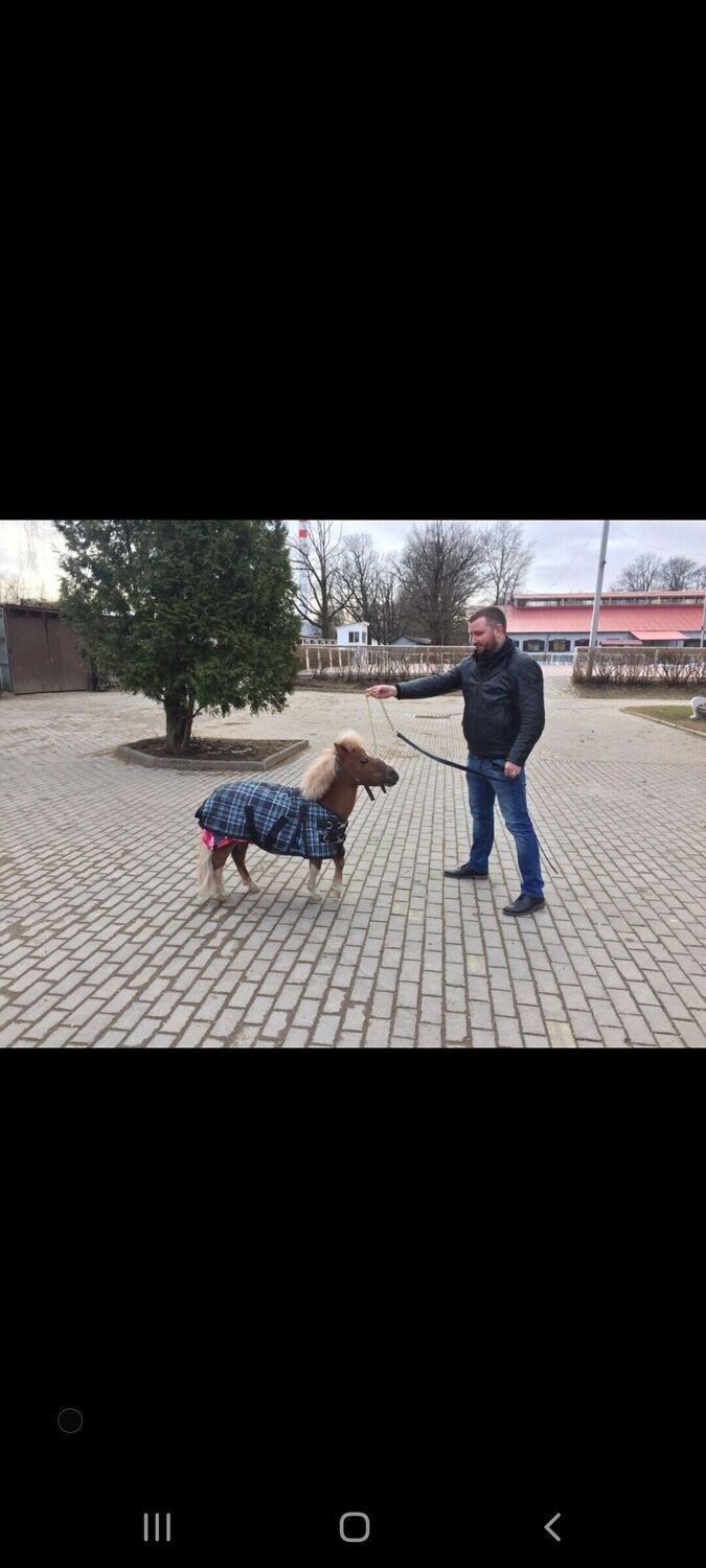 ���� 26728526 ������� ������, 40 ���, ���� ���������� � �����-����������