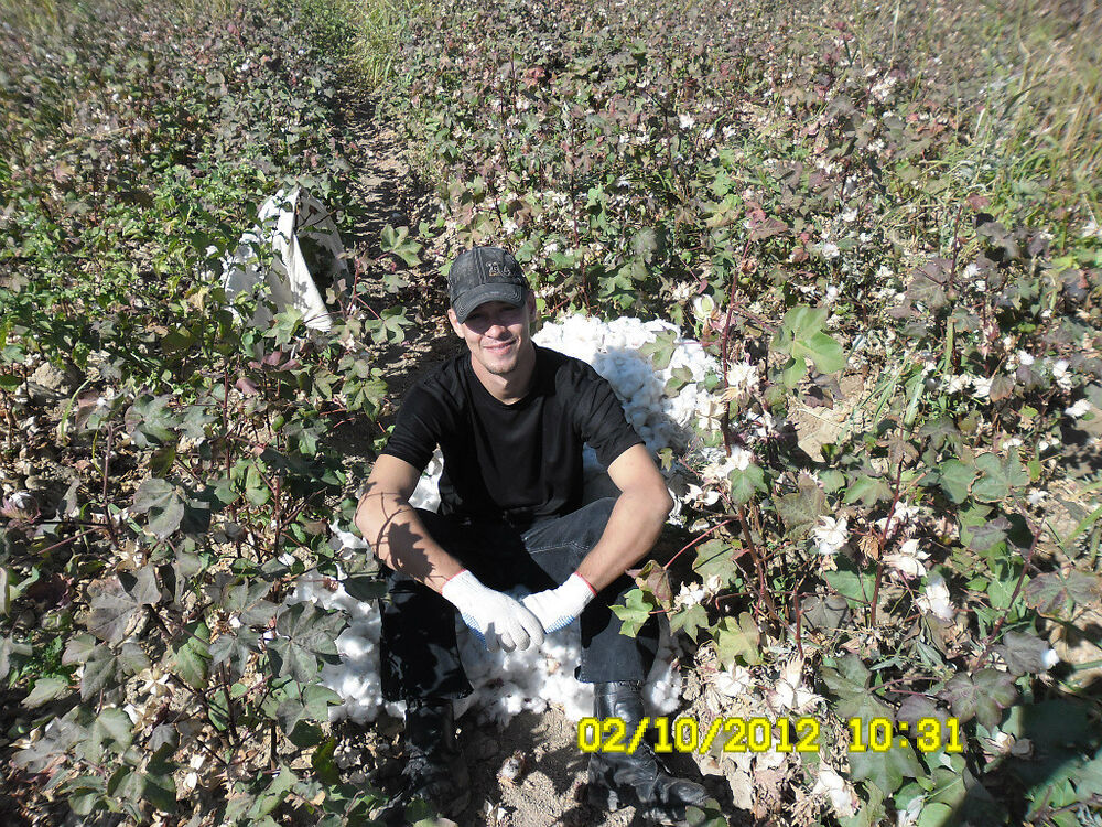 ���������� ���������, ���� ������� ������, 41 ���, ������������ ��� ������, ����� � ���������, c�������� ���������