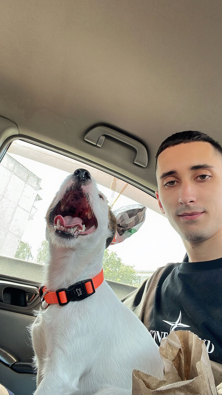 ���������� ������, ���� ������� �����, 28 ���, ������������ ��� ������, ����� � ���������