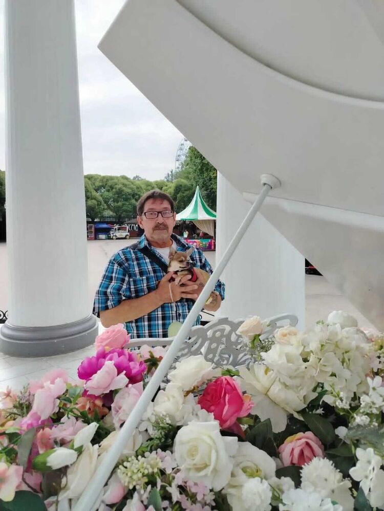 ���������� ������������, ���� ������� �����, 66 ���, ������������ ��� ������, ����� � ���������