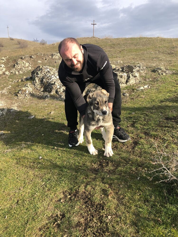 ���� 32769866 ������� Irakli, 29 ���, ���� ���������� � �������