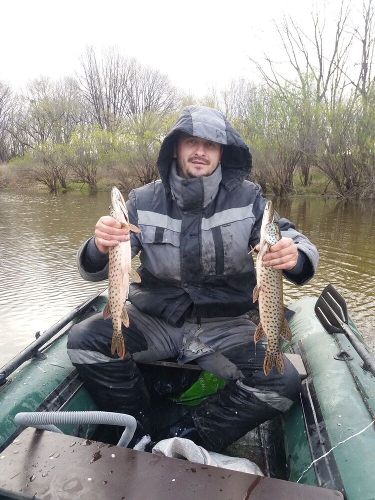 ���� 37106986 ������� ˸��, 35 ���, ���� ���������� � ����������