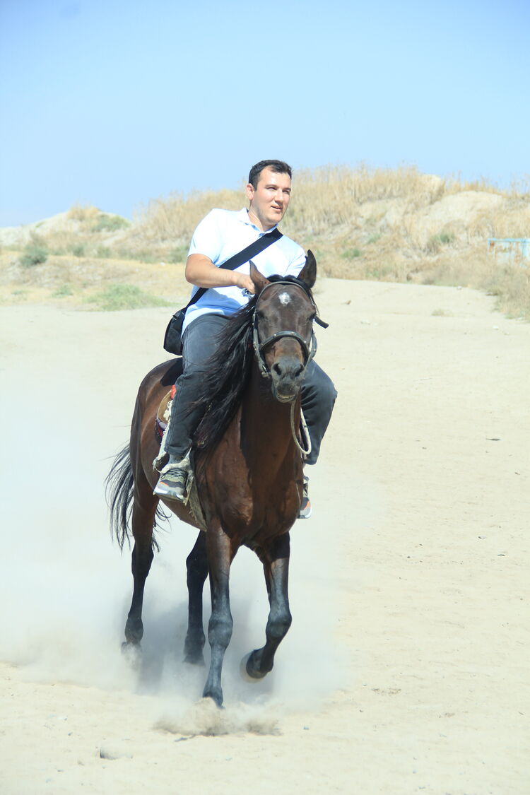 ���� 54832916 ������� ����, 27 ���, ���� ���������� � ������