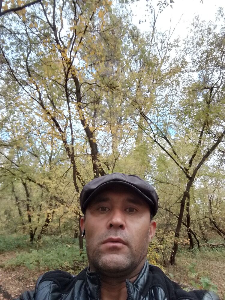 ���� 55023226 ������� ���������, 43 ����, ���� ���������� � ��������