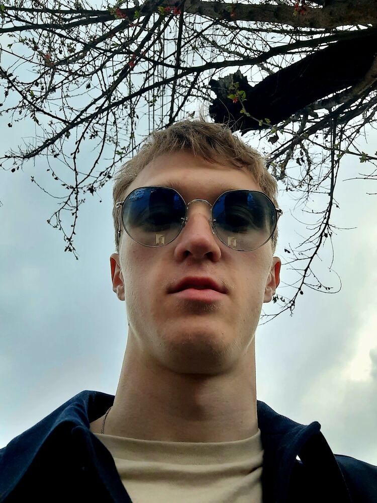  53306446  , 19 ,    -