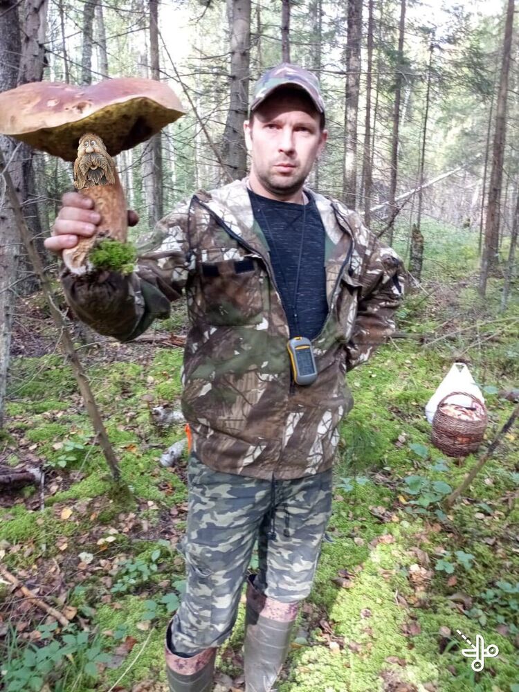 ���������� �����-���������, ���� ������� ���������, 45 ���, ������������ ��� ������, ����� � ���������, c�������� ���������