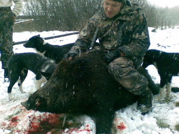 ���� 4688126 ������� Aleks, 46 ���, ���� ���������� � ��������