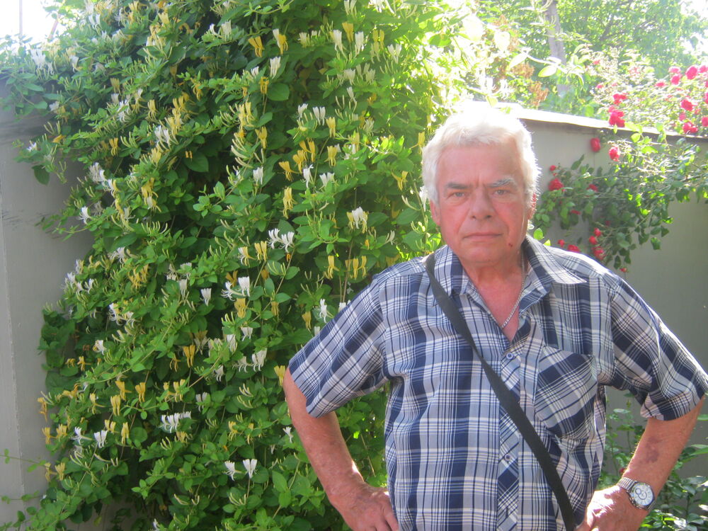 ���� 23850906 ������� ���������, 74 ����, ���� ���������� � ��������