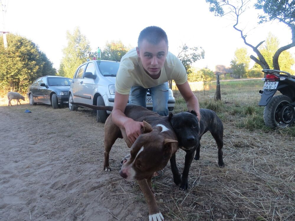 ���������� �������, ���� ������� ����, 33 ����, ������������ ��� ������, ����� � ���������, c�������� ���������