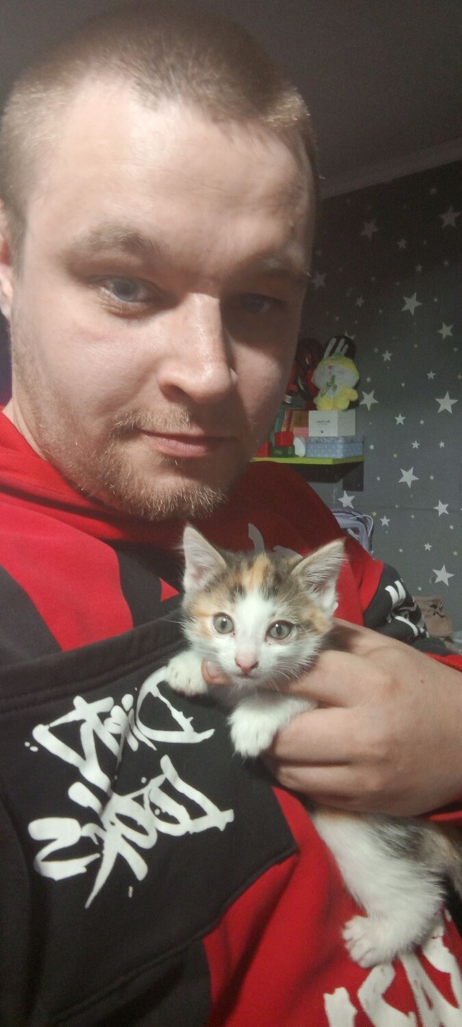 ���������� �����������, ���� ������� ��������, 28 ���, ������������ ��� ������, ����� � ���������, ���������