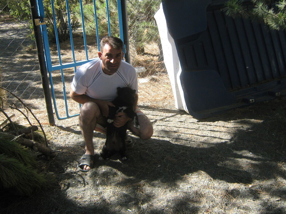  ,   GOR, 48 ,   ,   , c 