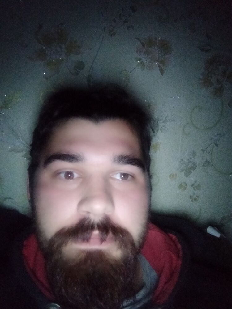  41775176  , 29 ,    