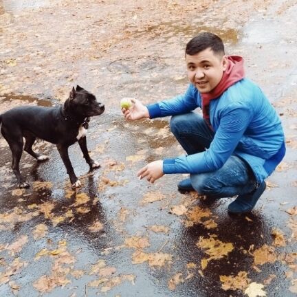 ���� 25295976 ������� Begzod, 34 ����, ���� ���������� � �����-����������