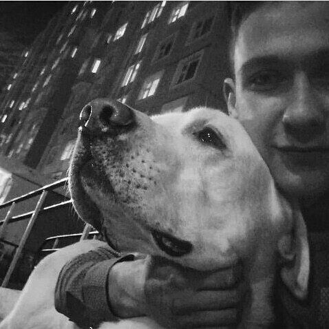 ���� 25320896 ������� �������, 28 ���, ���� ���������� � �����