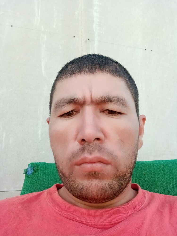  20841446  , 39 ,    