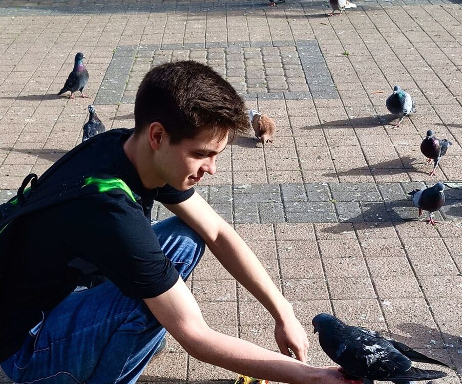 ���� 55886686 ����� �����, 25 ���, ���� ���������� � �������