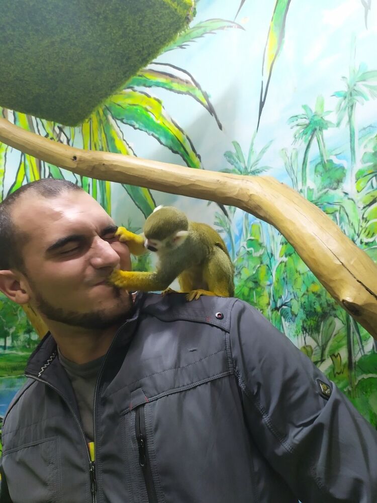 ���� 19723306 ������� �����, 32 ����, ���� ���������� � ���������������