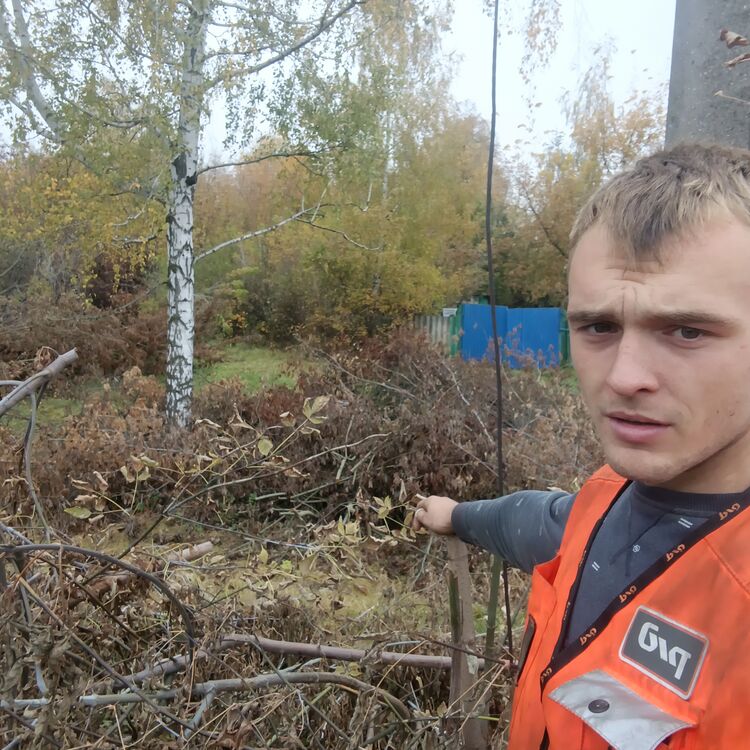 ���� 54161586 ����� ������, 23 ����, ���� ���������� � ������