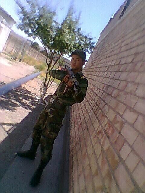 ���� 26066166 ������� �����, 33 ����, ���� ���������� � �������