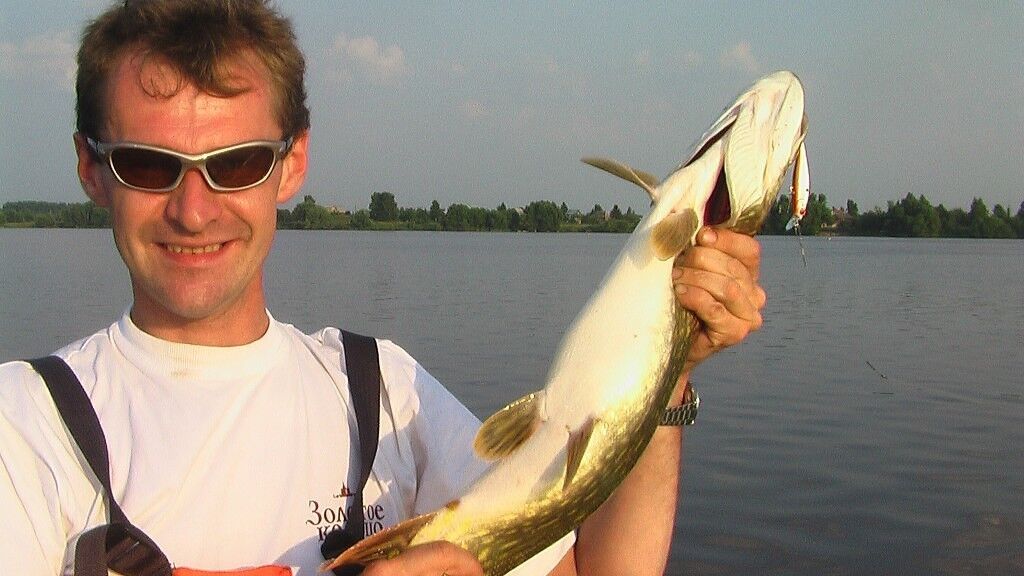 ���������� ���������, ���� ������� �����, 54 ����, ������������ ��� ������, ����� � ���������, c�������� ���������