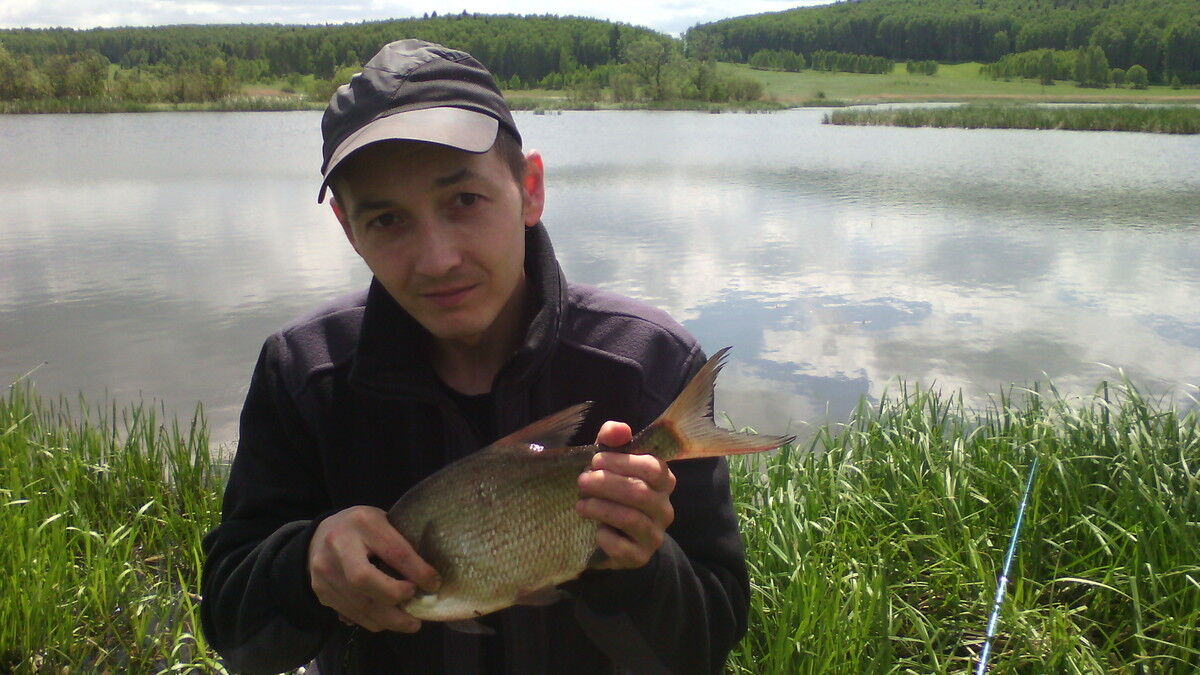 ���������� ������������, ���� ������� ��������, 38 ���, ������������ ��� ������, ����� � ���������, c�������� ���������