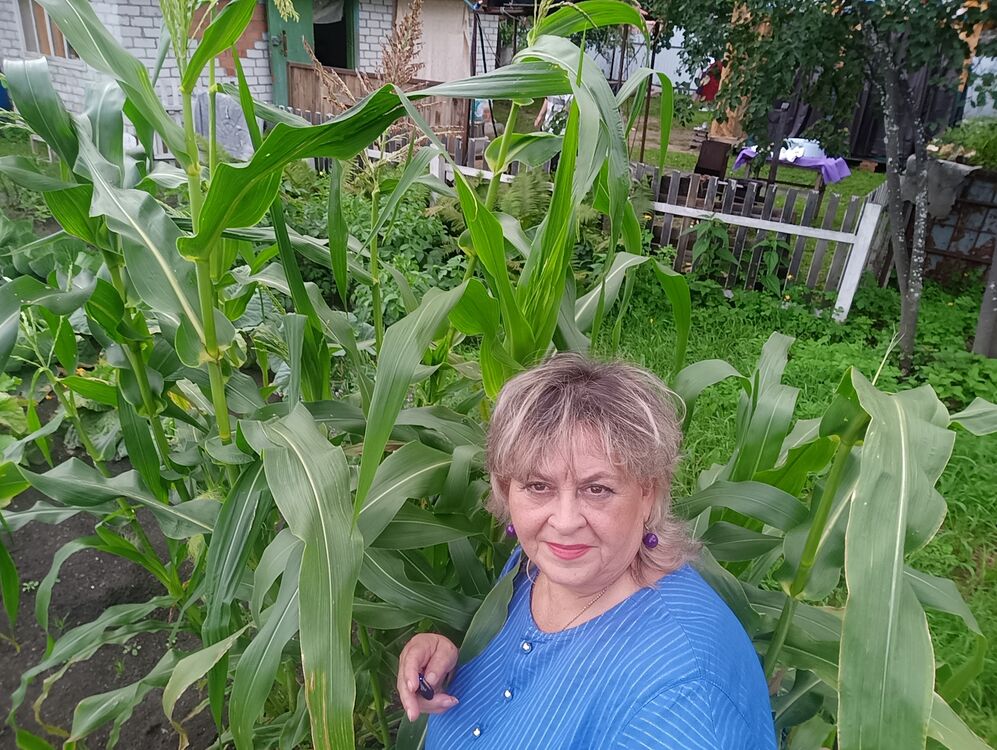 ���������� ������, ���� ������� ������, 63 ����, ������������ ��� ����� � ���������, c�������� ���������