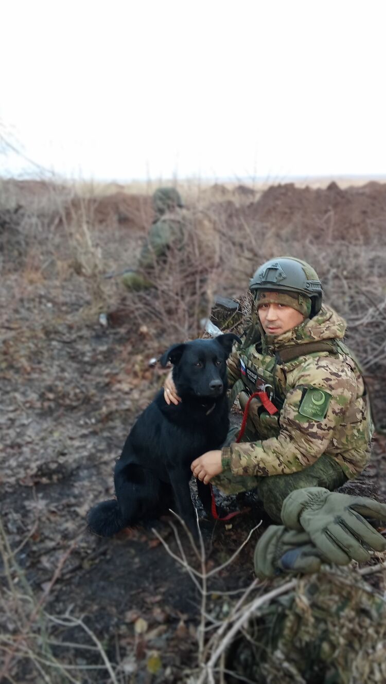 ���� 49058146 ������� Ilyas, 31 ���, ���� ���������� � ������