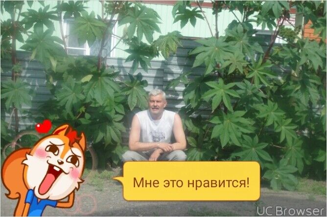 ���������� �����-���������, ���� ������� ������, 53 ����, ������������ ��� ������, ����� � ���������, c�������� ���������