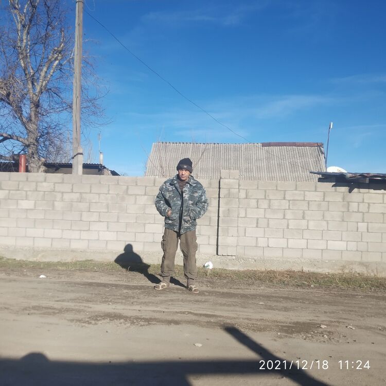 ���� 24662676 ������� ������, 52 ����, ���� ���������� � �������