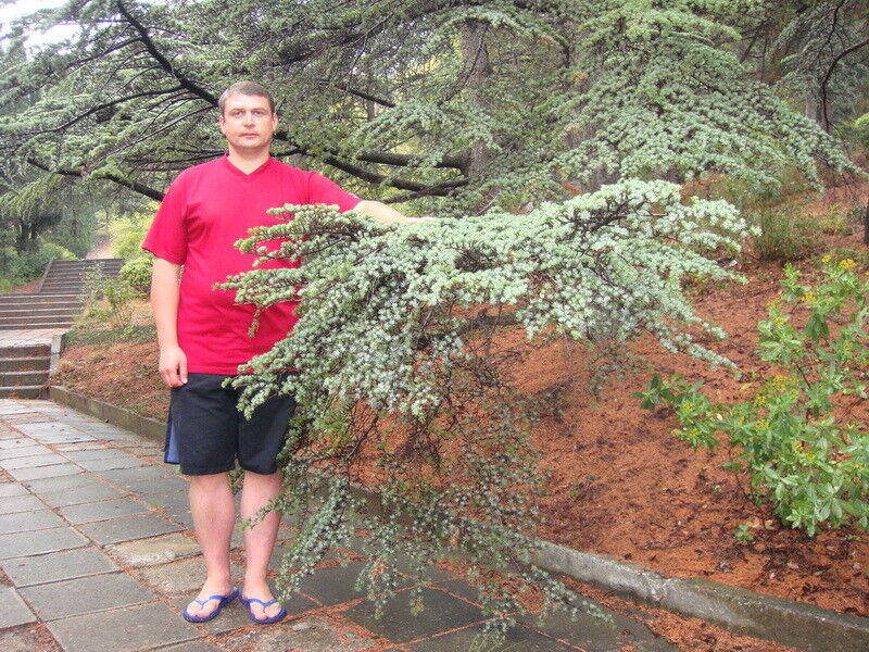 ���� 11213186 ������� ��������, 49 ���, ���� ���������� � �����