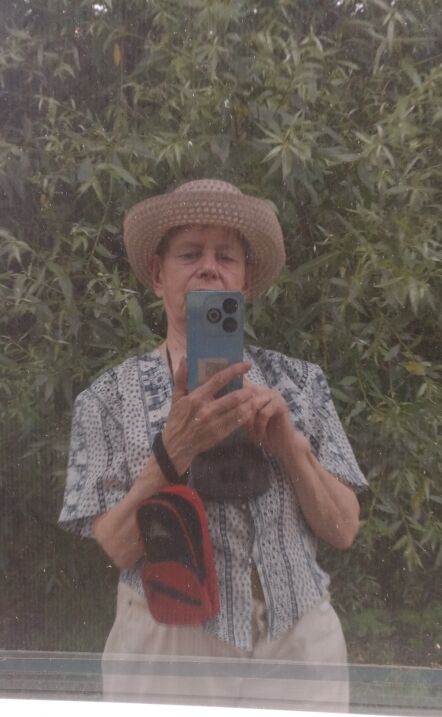  53864196  , 75 ,    -