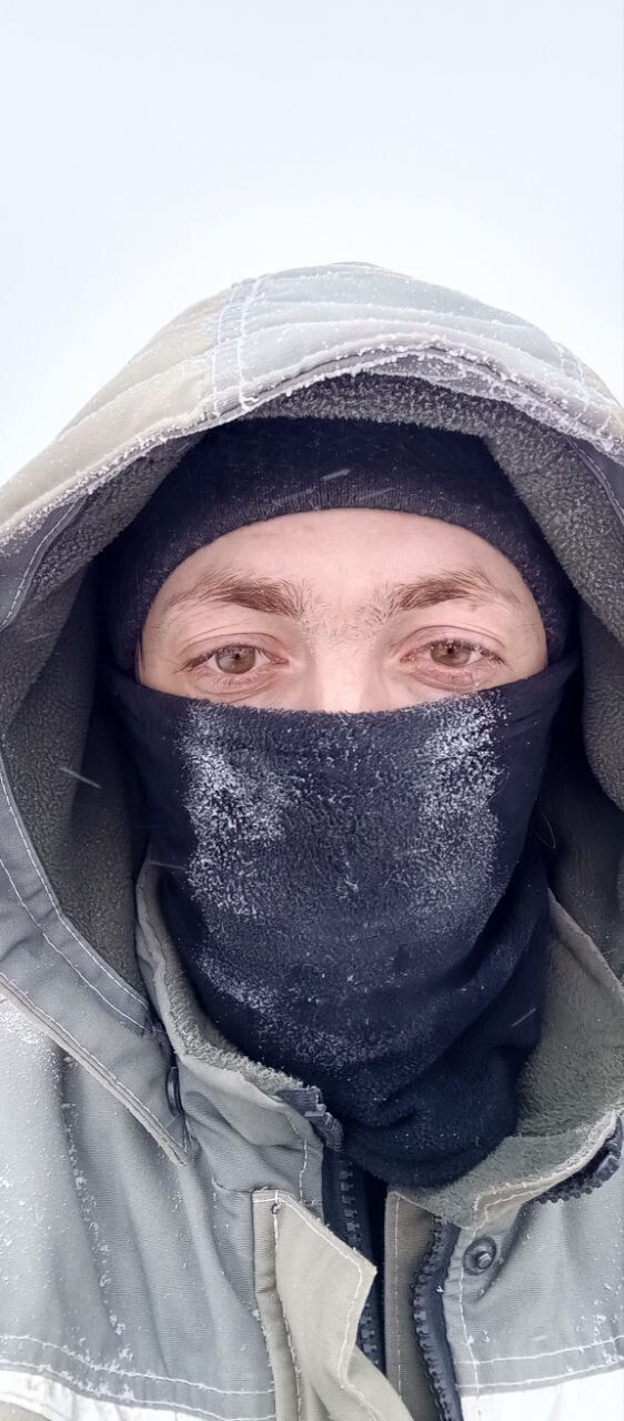 ���� 55058346 ������� �����, 37 ���, ���� ���������� � �������