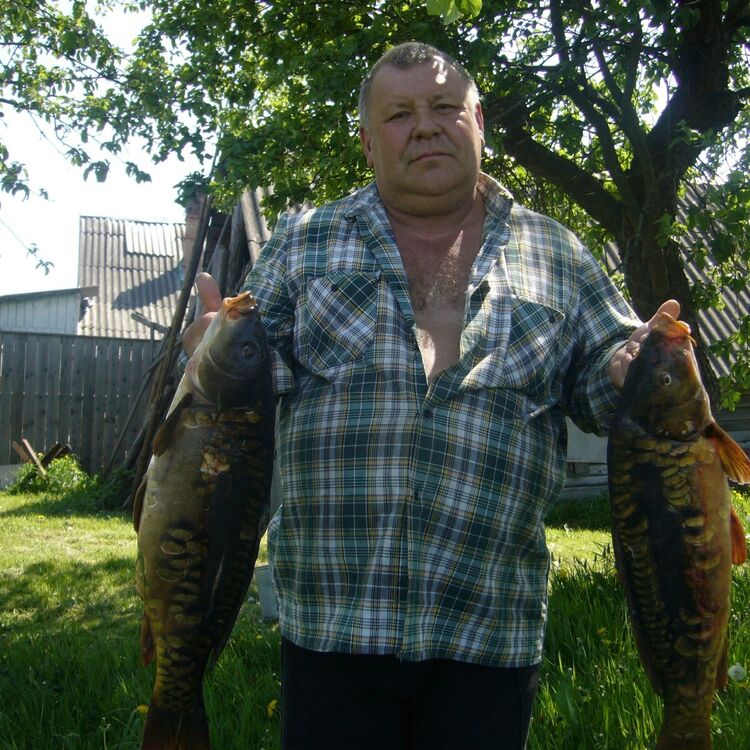  ,   , 68 ,  