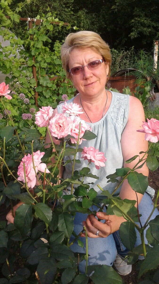  ,   , 52 ,   c 