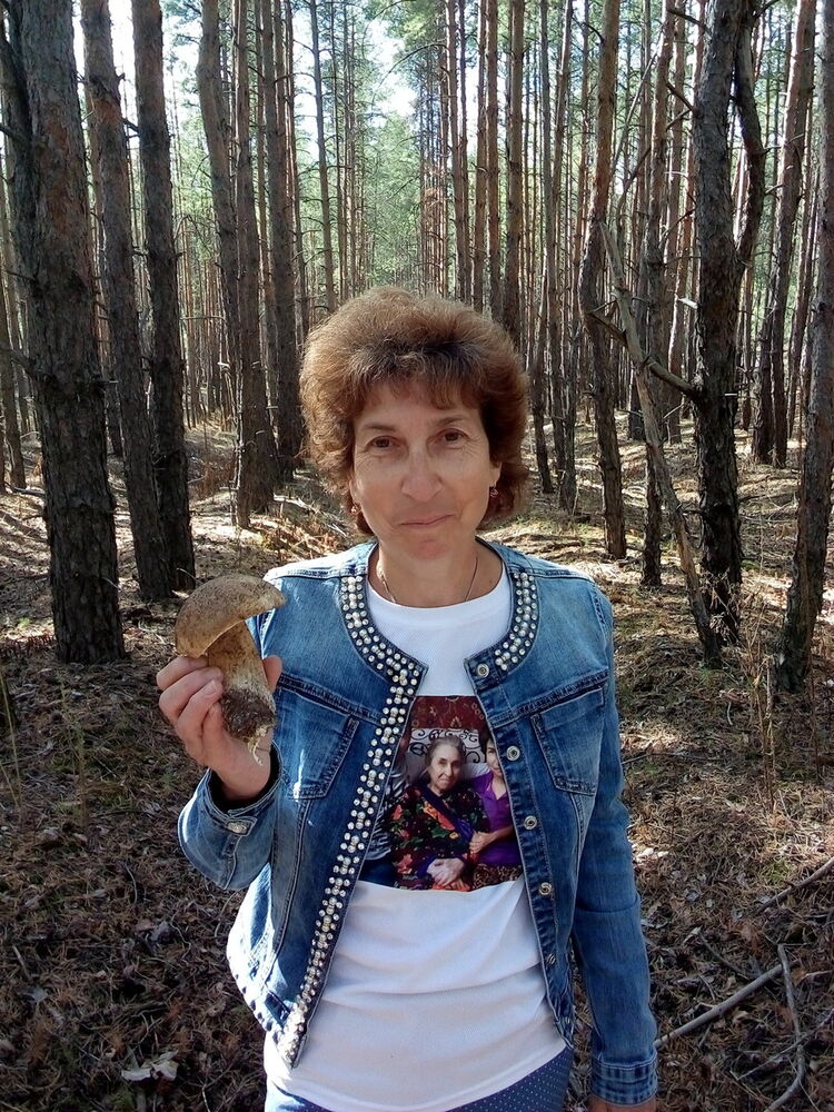 --,   , 65 ,  