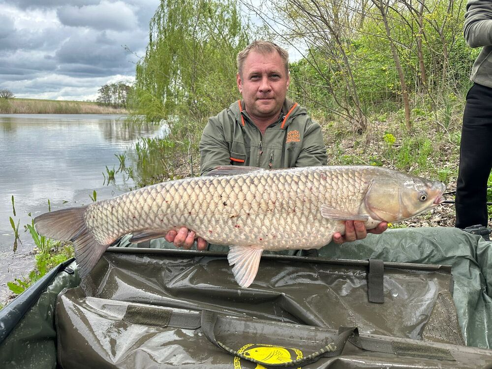 ���� 41909586 ������� Maks, 44 ����, ���� ���������� � �������-��-����