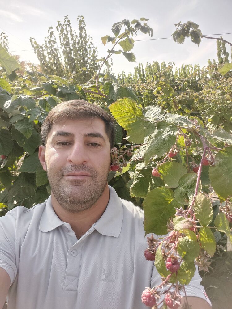  ,   Ghasem, 38 ,   ,   