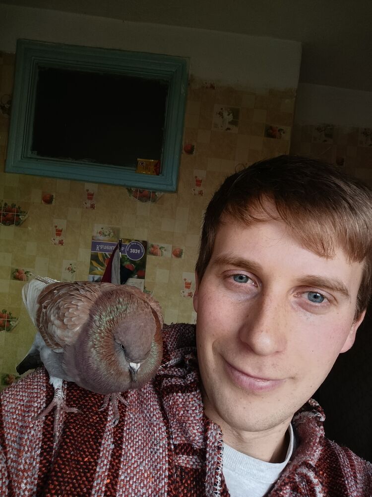 ���������� ����������, ���� ������� �������, 27 ���, ������������ ��� ����� � ���������, c�������� ���������