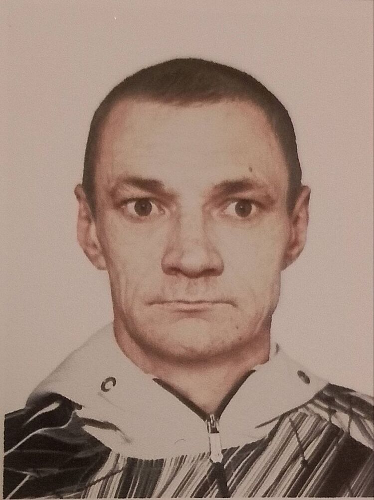 ���� 55561146 ������� ��������, 38 ���, ���� ���������� � ������