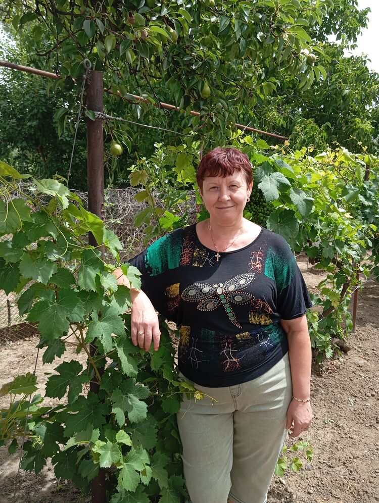 ���� 50064546 ������� �������, 52 ����, ���� ���������� � �����������