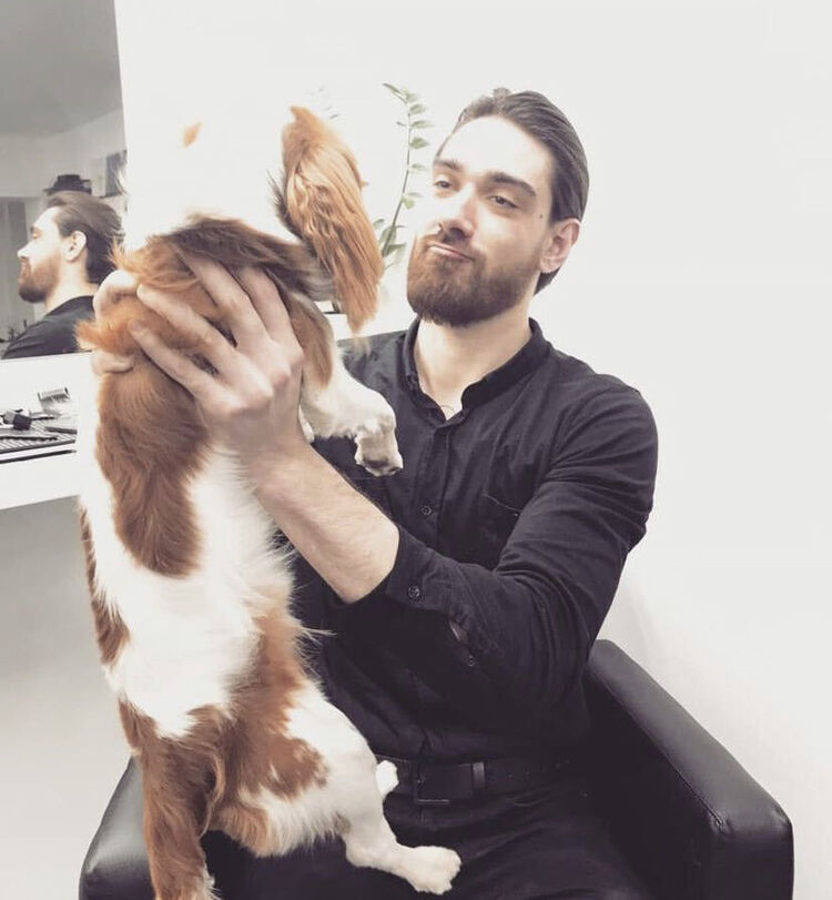 ���������� �����-���������, ���� ������� ������, 36 ���, ������������ ��� ������, ����� � ���������