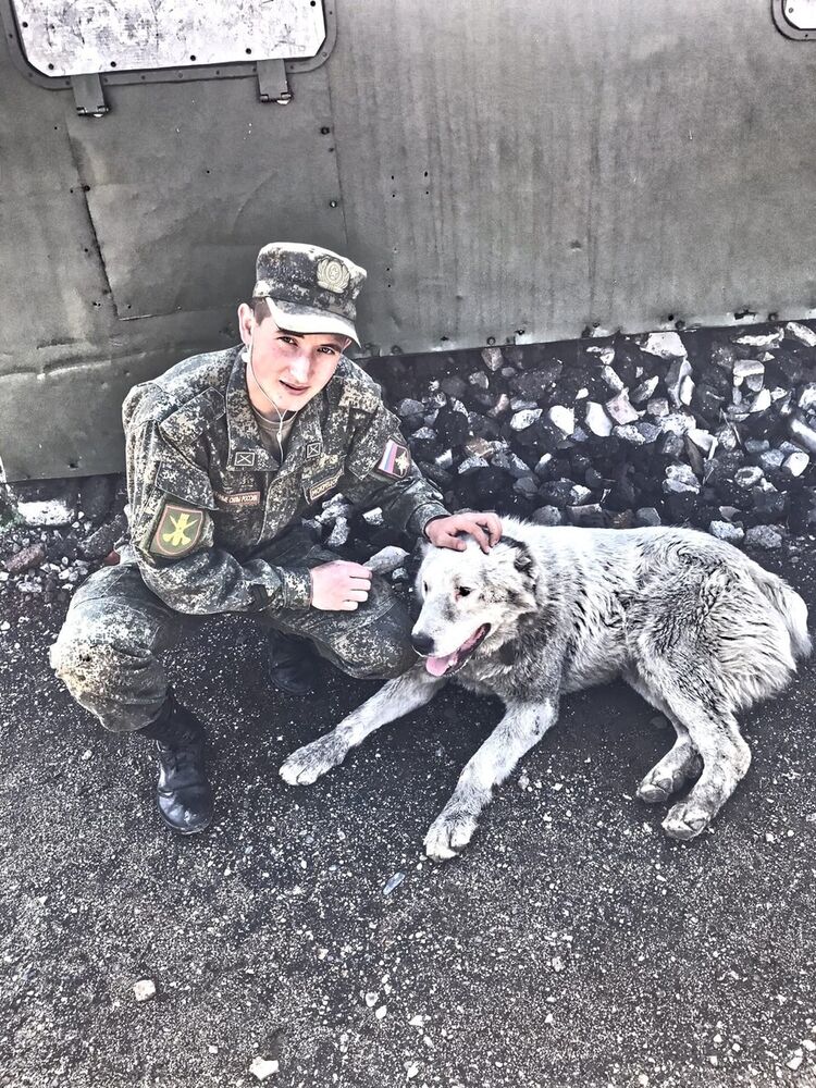 ���� 20031546 ������� ������, 26 ���, ���� ���������� � ��������