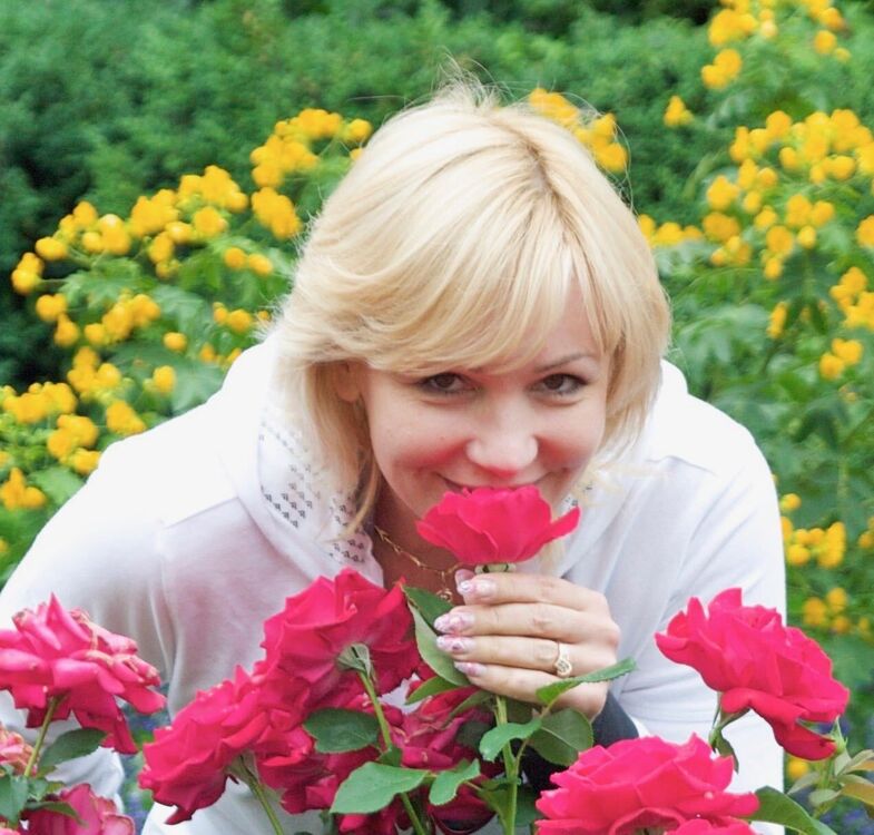 ���� 41535306 ������� ����, 56 ���, ���� ���������� � ������