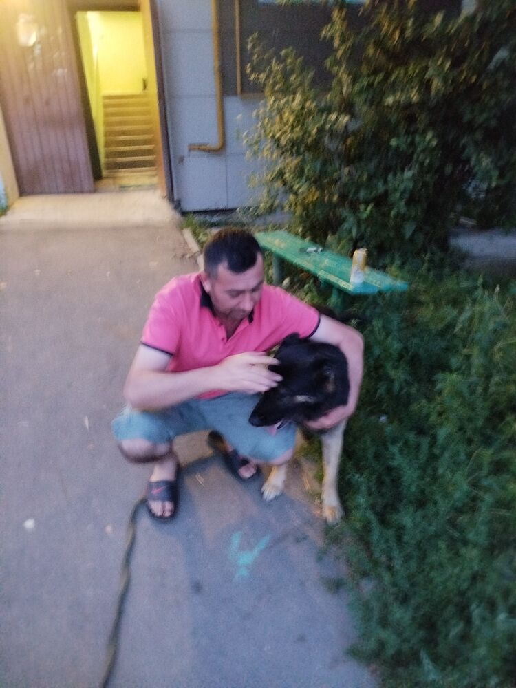 ���������� ������, ���� ������� Timur, 43 ����, ������������ ��� ������, ����� � ���������, c�������� ���������