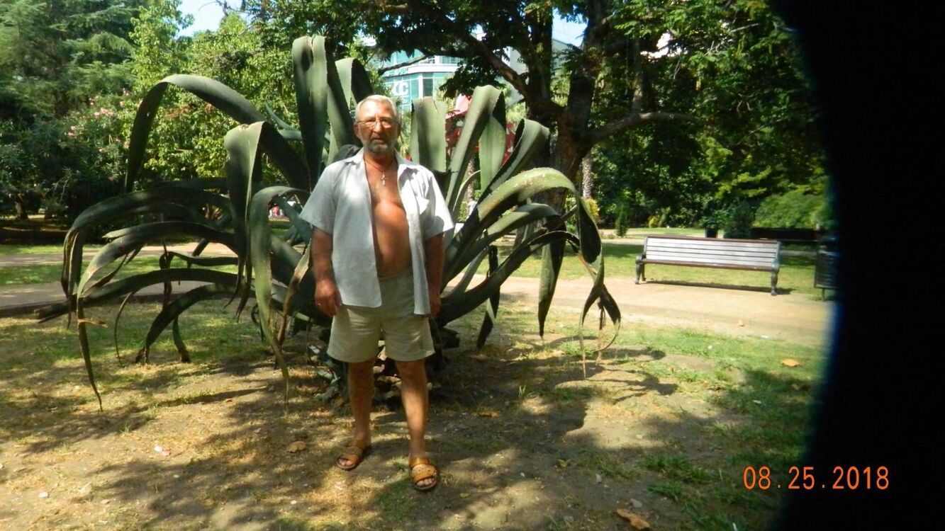 ���������� �����������, ���� ������� �������, 70 ���, ������������ ��� c�������� ���������