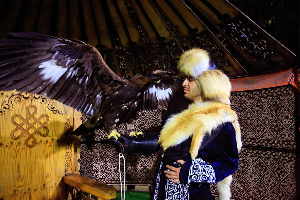 ���������� ������, ���� ������� �����, 26 ���, ������������ ��� ������, ����� � ���������, c�������� ���������, ���������