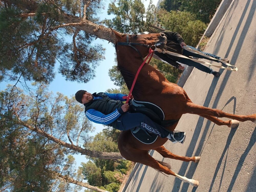 ���� 31130606 ������� Botir, 41 ���, ���� ���������� � ��������