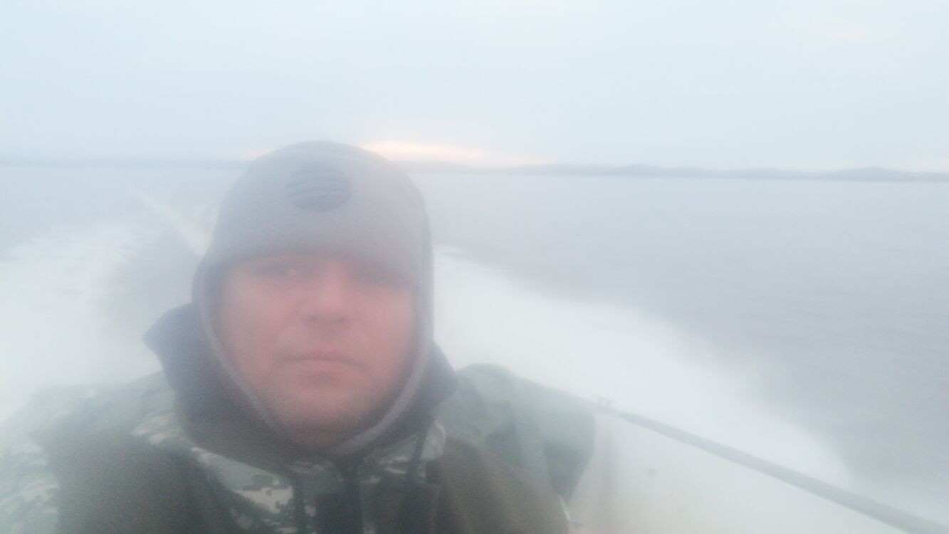  29801886  , 38 ,    --